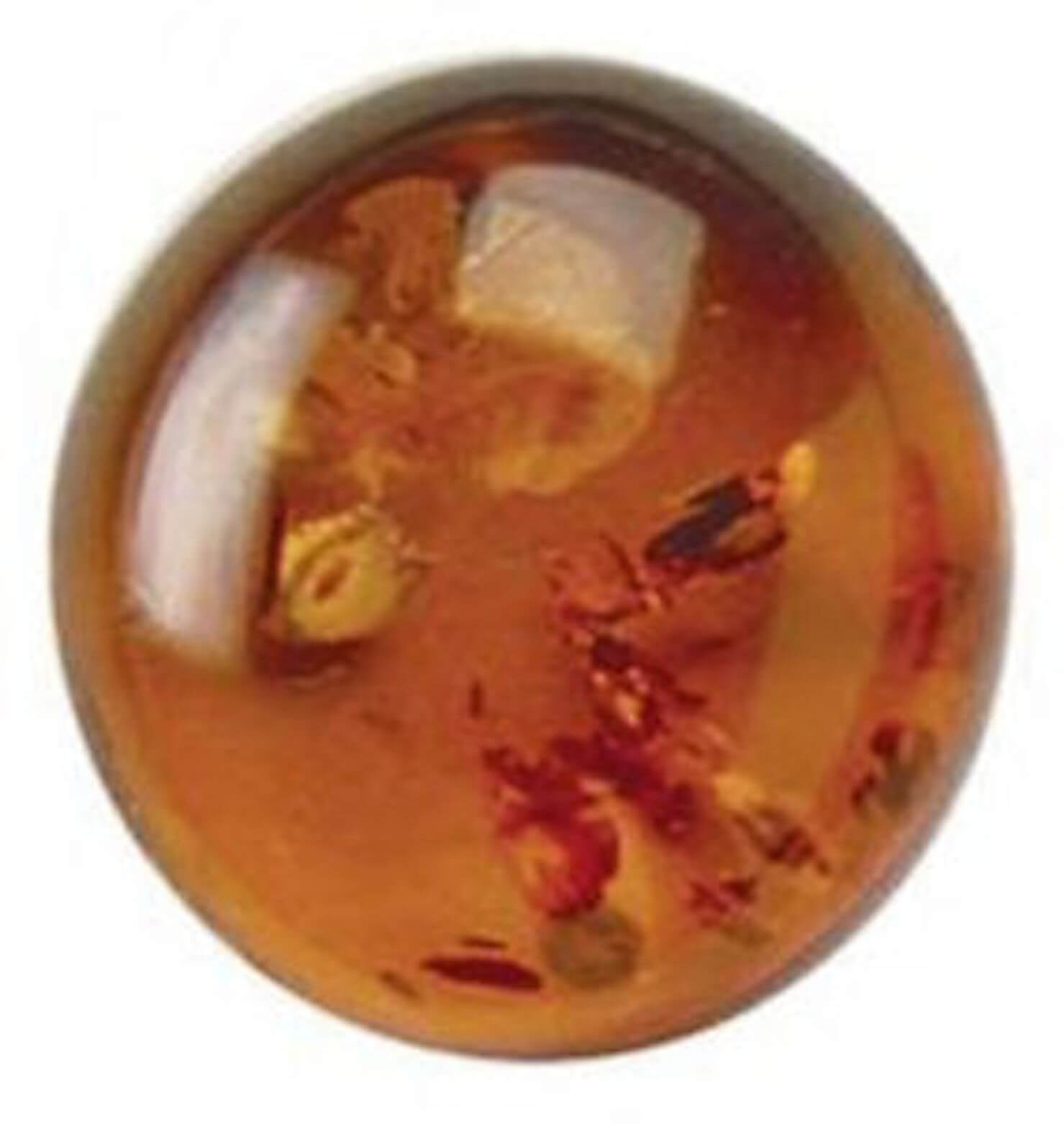 Natural Baltic Amber - Round Cabochon