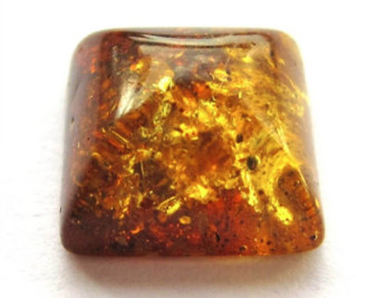 Natural Baltic Amber - Square Cabochon