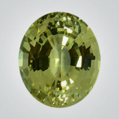 Nano Sital Yellow Canary #10